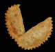 Chebureki Machine de Chebureki ANKO pour Chebureki