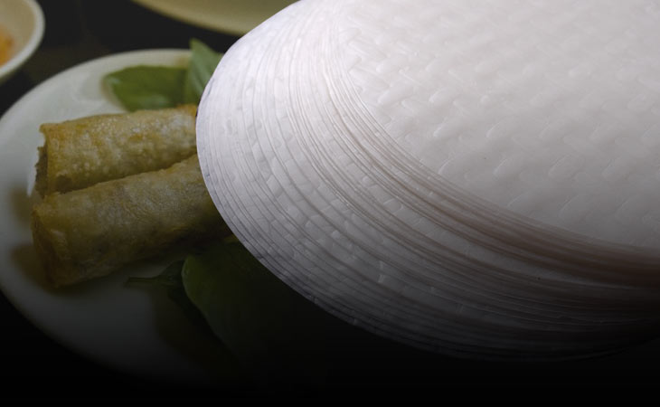 Vietnamese spring roll