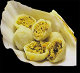 Pelmeni ANKO Bakery Machine for Pelmeni