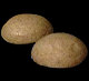 kolo kubba ANKO Bakery Machine for kolo kubba